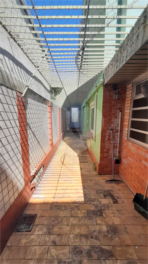 Foto REO1074700