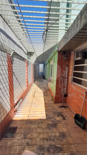 Foto REO1074700