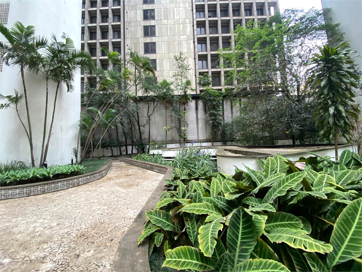 Foto REO1074722