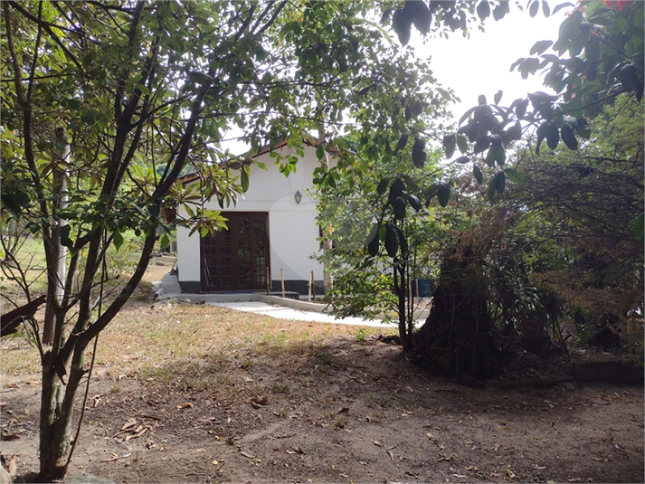Foto REO1074739