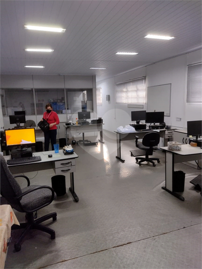 Foto REO1074740
