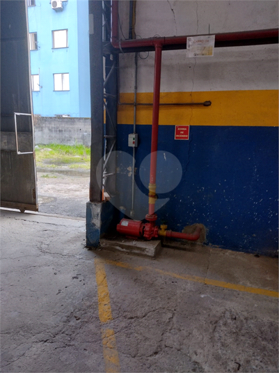Foto REO1074740