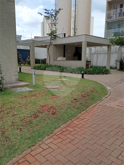 Foto REO1074746