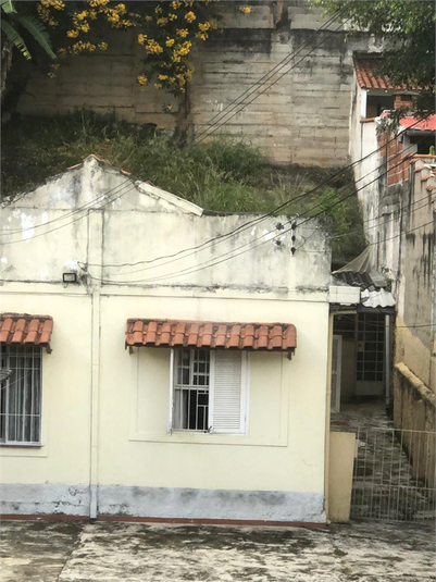 Foto REO1074756