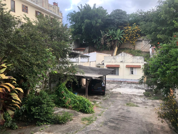 Foto REO1074756
