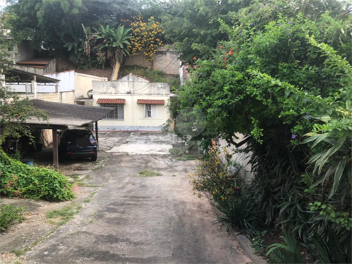 Foto REO1074756