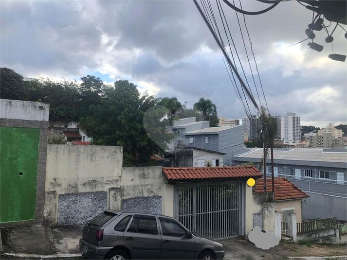 Foto REO1074756