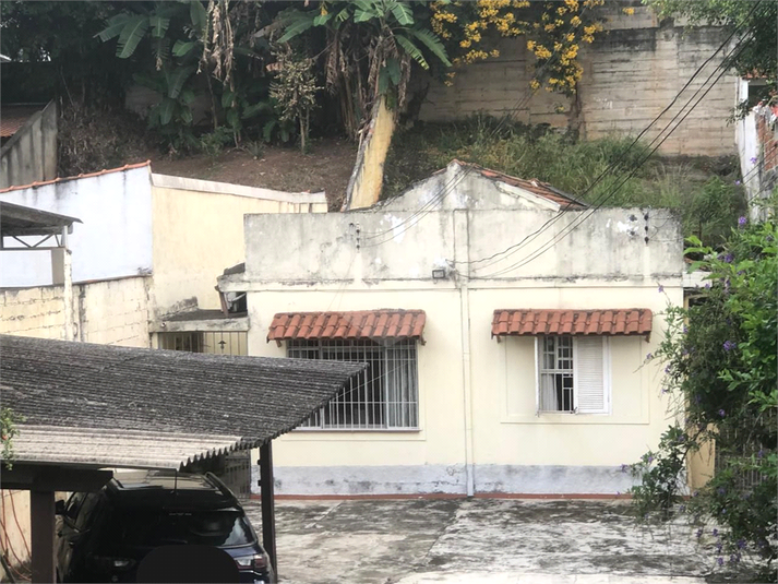 Foto REO1074756