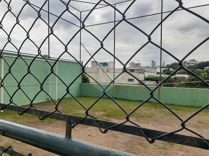 Foto REO1074765