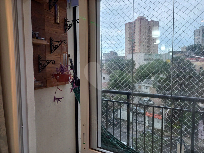 Foto REO1074765