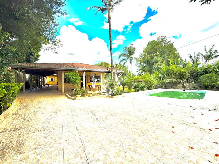 Foto REO1074773