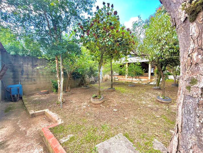 Foto REO1074773