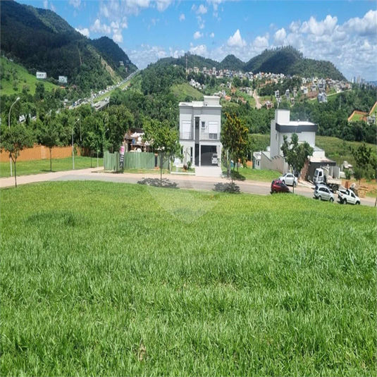 Foto REO1074776