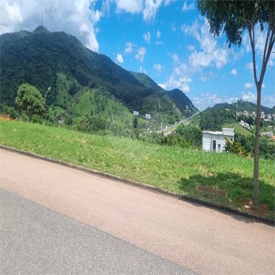 Foto REO1074776