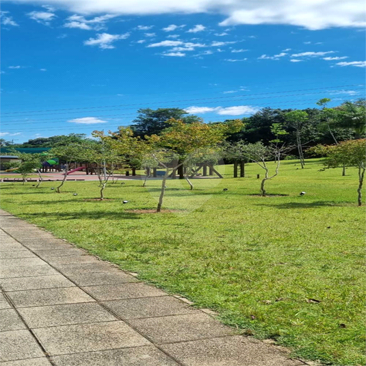 Foto REO1074776