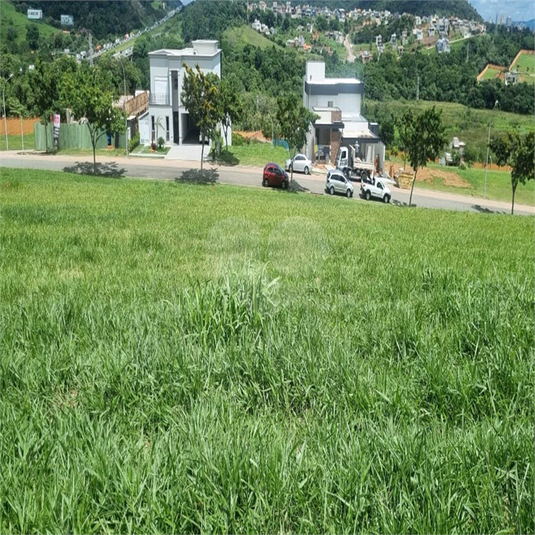 Foto REO1074787