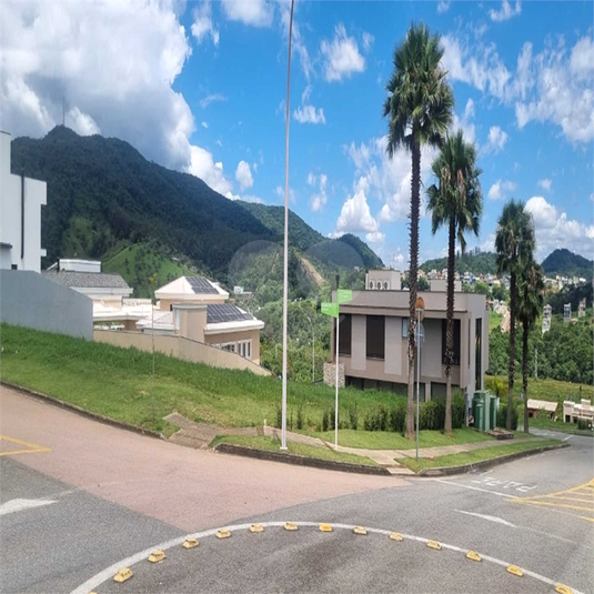 Foto REO1074797