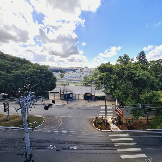 Foto REO1074809