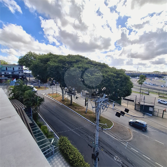 Foto REO1074809