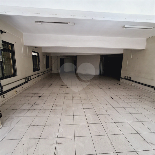 Foto REO1074809