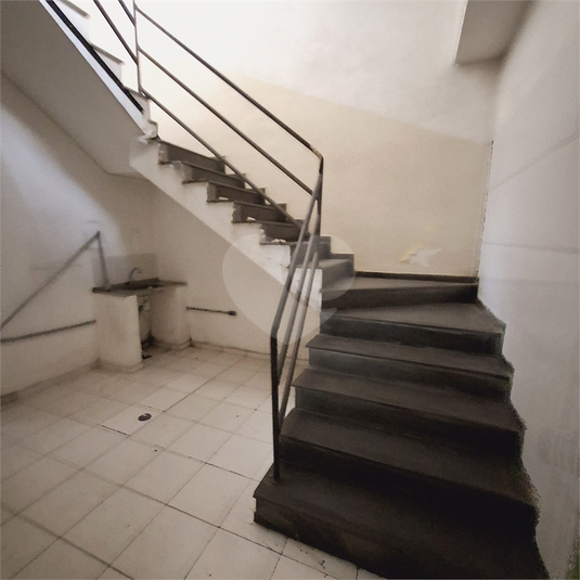 Foto REO1074809
