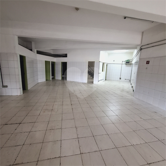 Foto REO1074809
