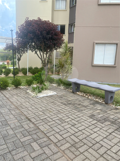 Foto REO1074812