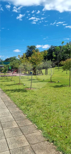 Foto REO1074817