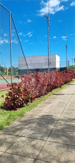 Foto REO1074817