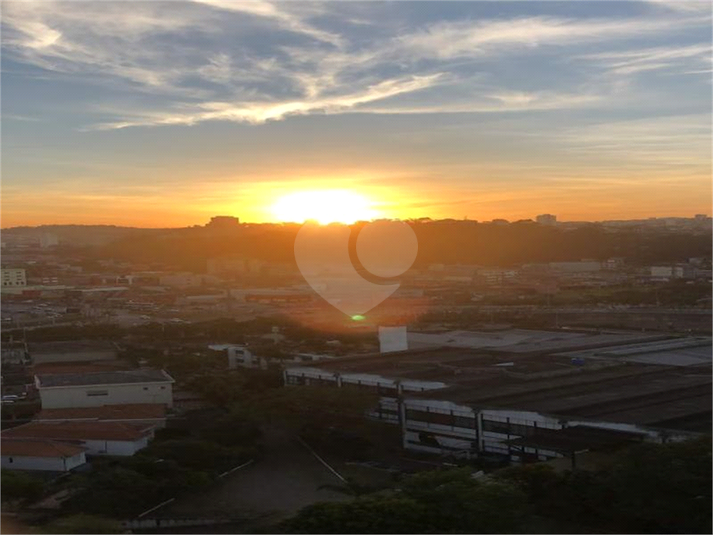 Foto REO1074820