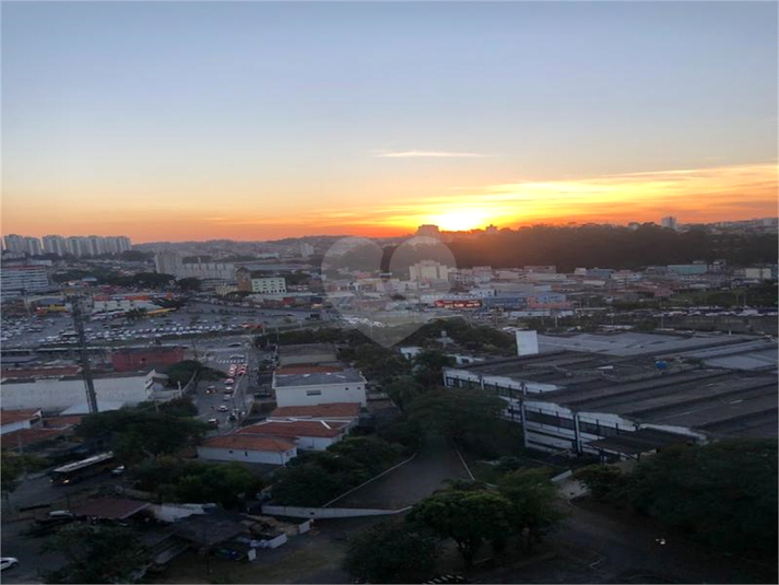 Foto REO1074820
