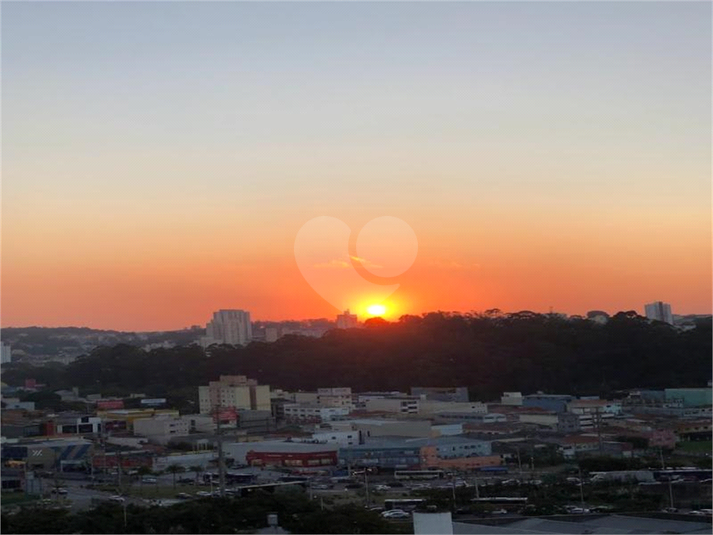 Foto REO1074820