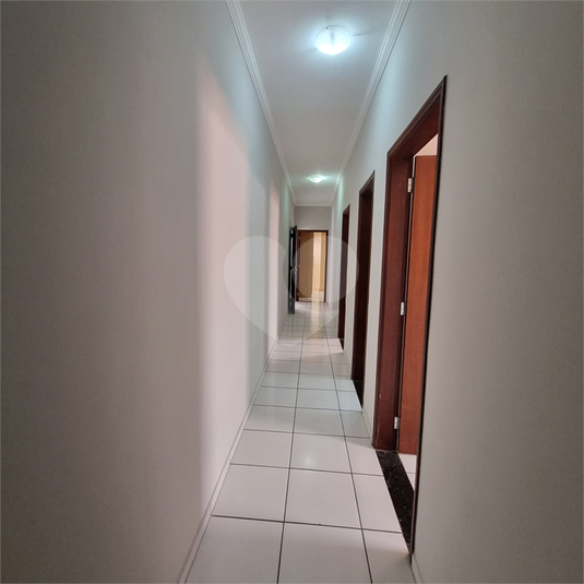 Foto REO1074832