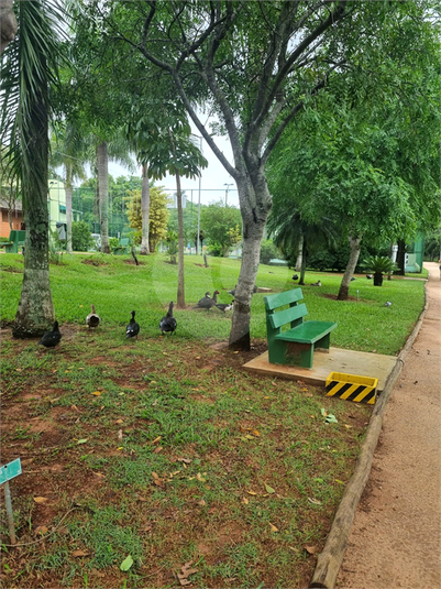 Foto REO1074832