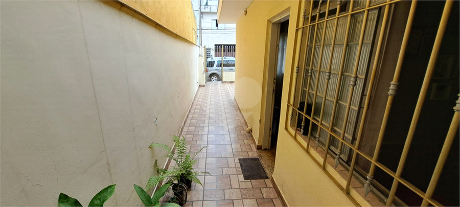 Foto REO1074838
