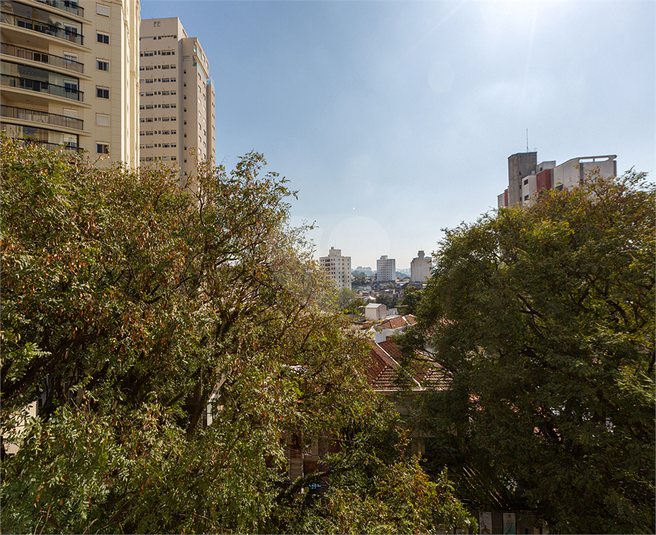 Foto REO1074844