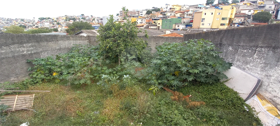 Foto REO1074845