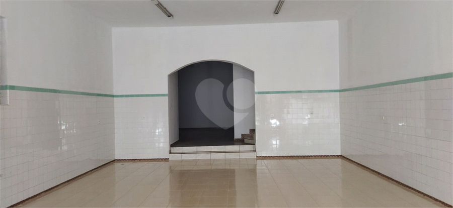 Foto REO1074866