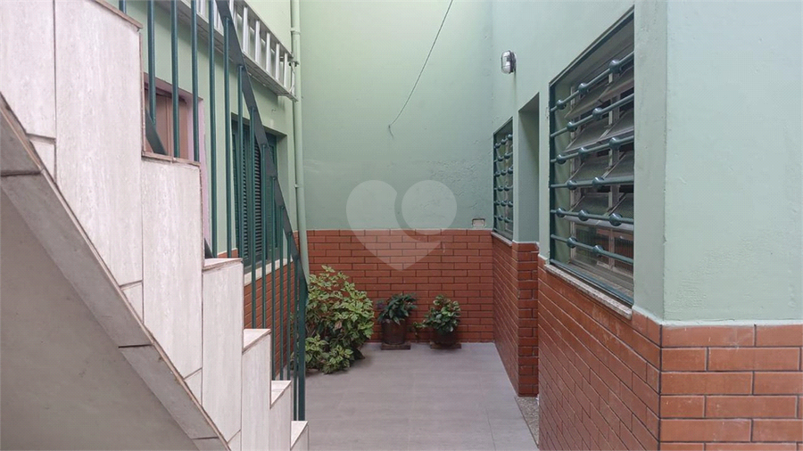 Foto REO1074870