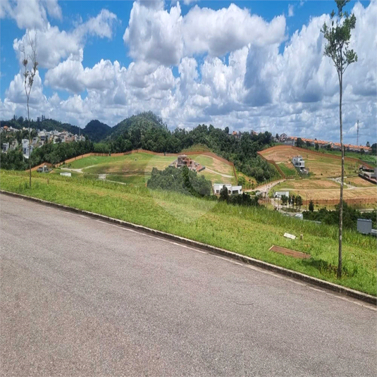 Foto REO1074873