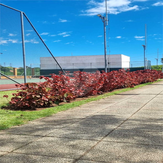 Foto REO1074881