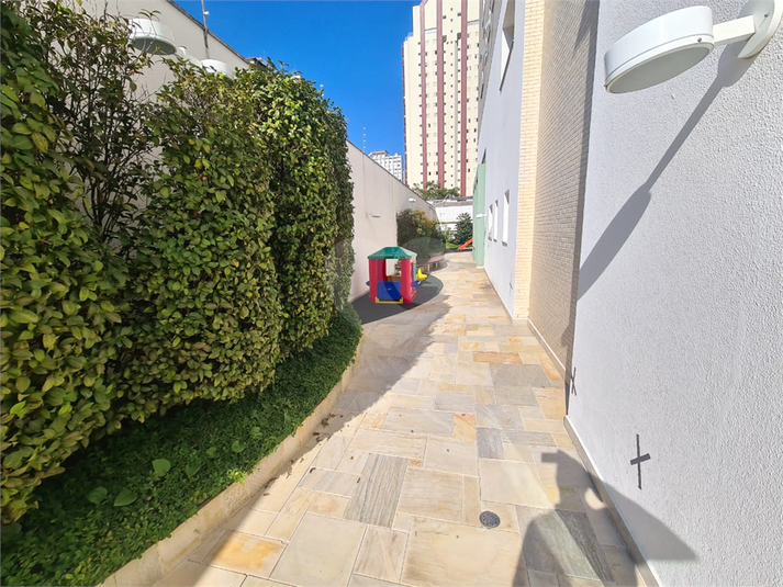Foto REO1074898