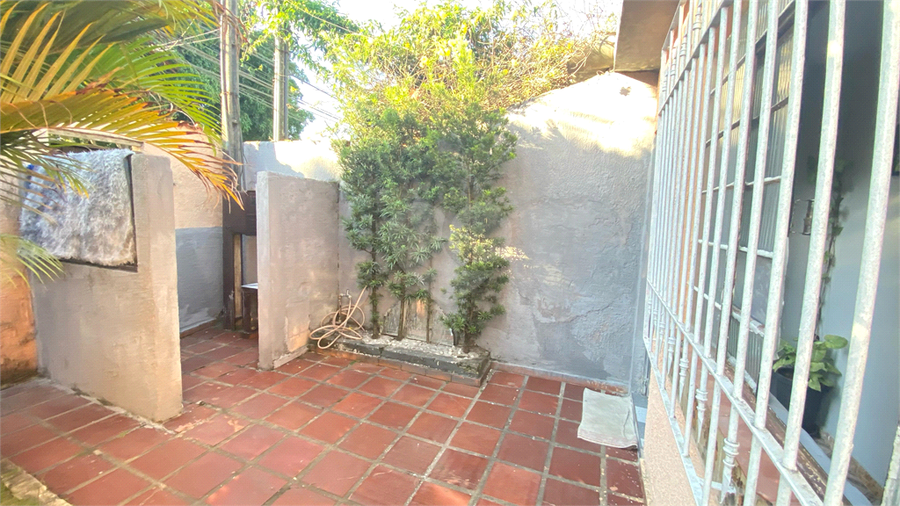 Foto REO1074906