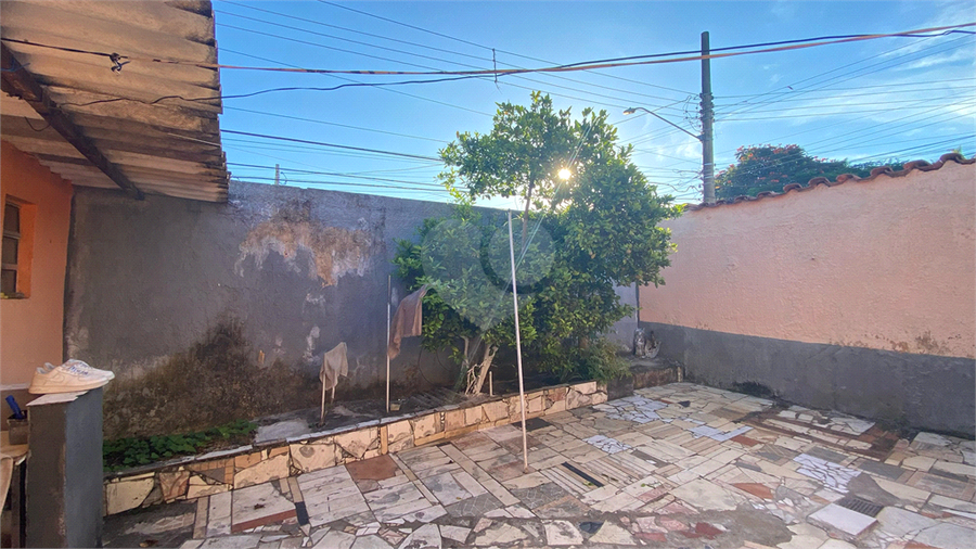 Foto REO1074906