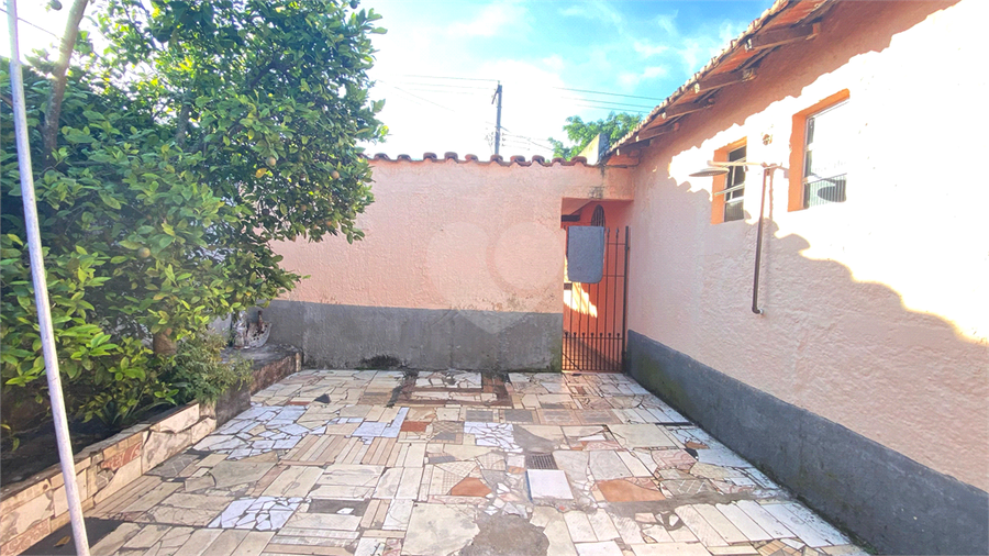 Foto REO1074906