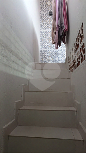 Foto REO1074914