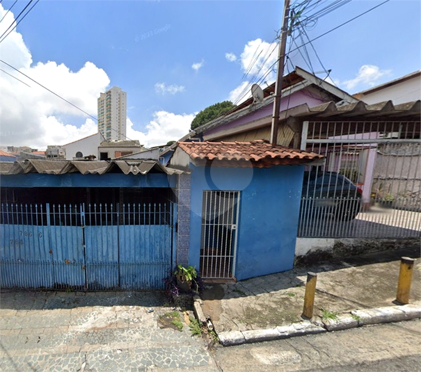 Foto REO1074927