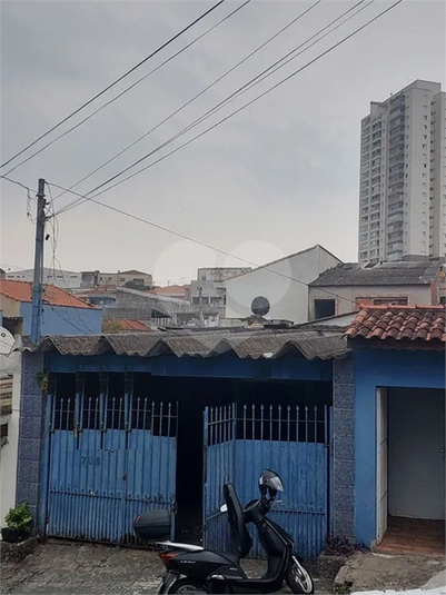 Foto REO1074927
