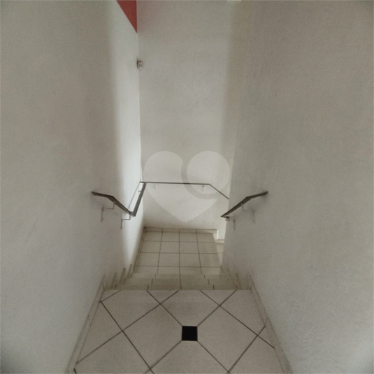 Foto REO1074929