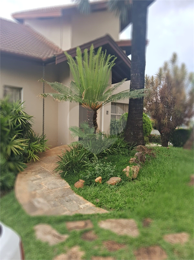 Foto REO1074937